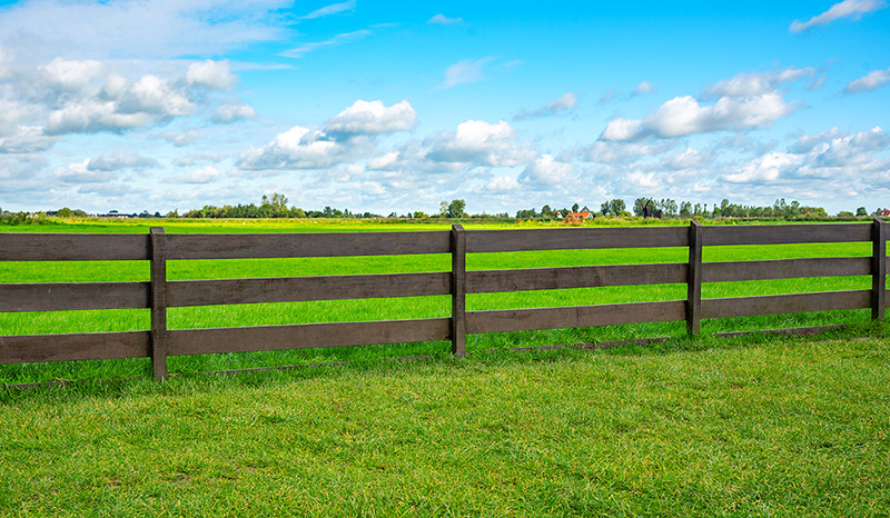 A green fence field and a blue sky. Pastures out of town.