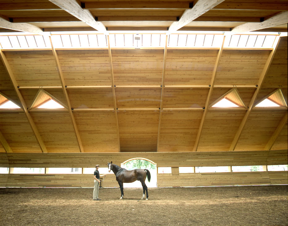 Horse Barn Timber